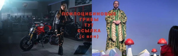 тгк Михайлов