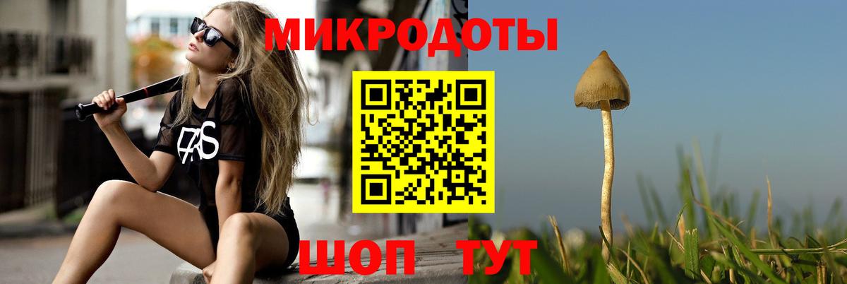 Псилоцибиновые грибы Magic Shrooms  Вход с VPN  купить закладку  Нарьян-Мар 