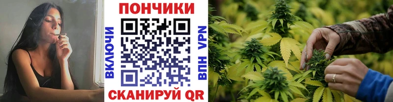 дарнет шоп Нарьян-Мар Конопля ГИДРОПОН
